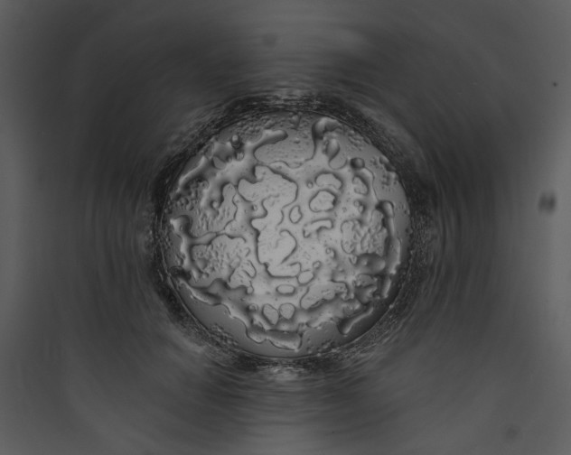 X0000089760654200707121404