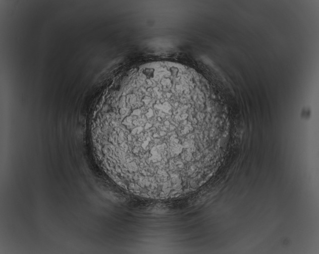 X0000089760656200707121404