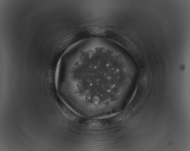 X0000089760658200707121404