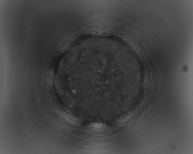 X0000089760659200707121404