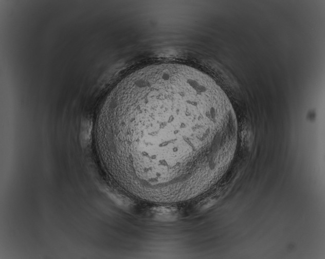 X0000089760660200707121404