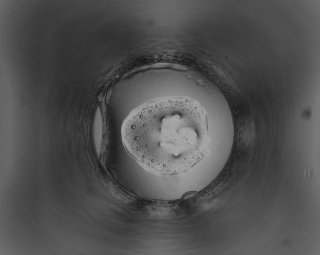 X0000089760661200707121404