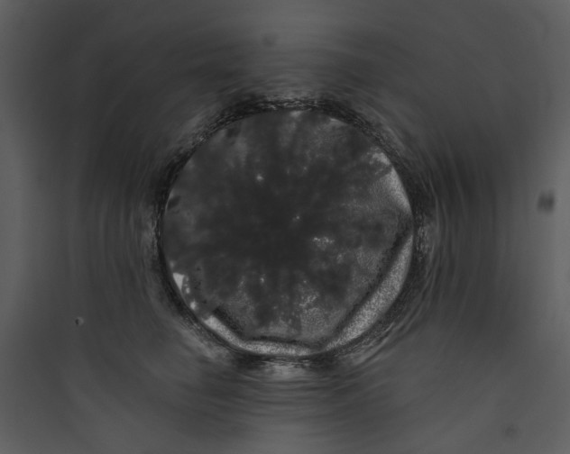 X0000089760662200707121404