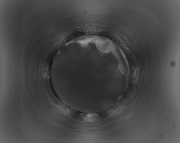 X0000089760663200707121404