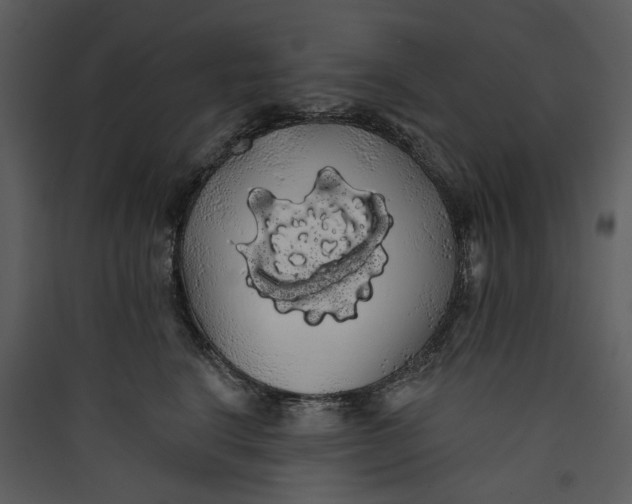 X0000089760664200707121404