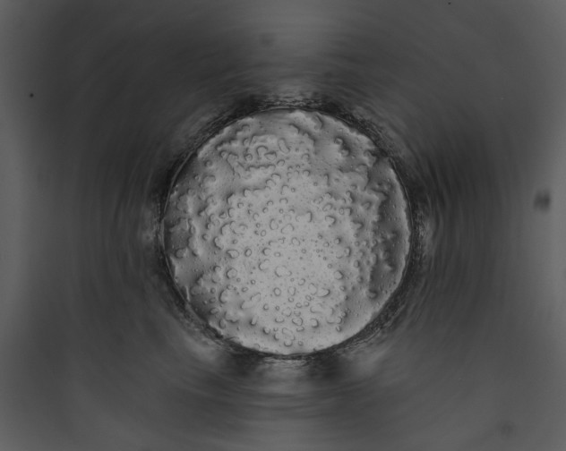 X0000089760665200707121404