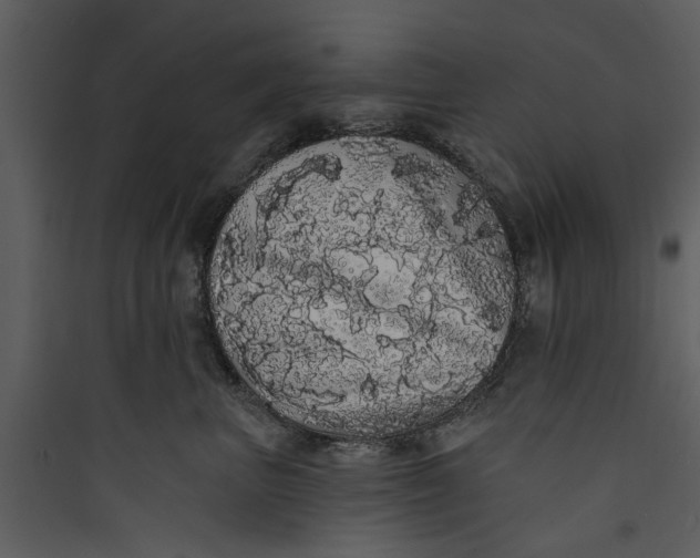 X0000089760667200707121404