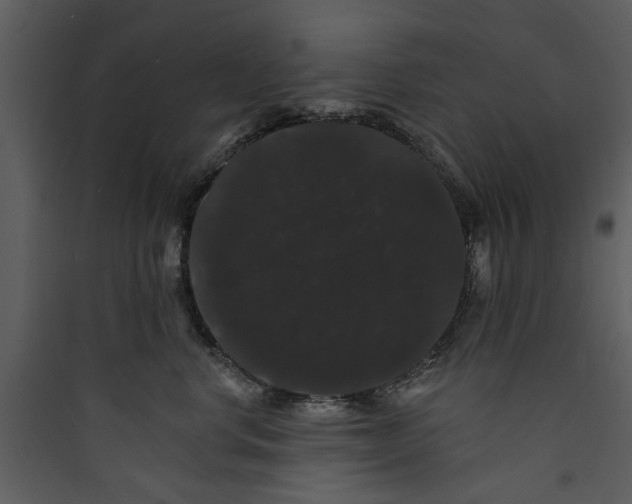 X0000089760668200707121404