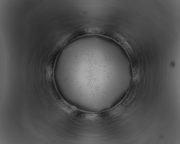 X0000089760669200707121404