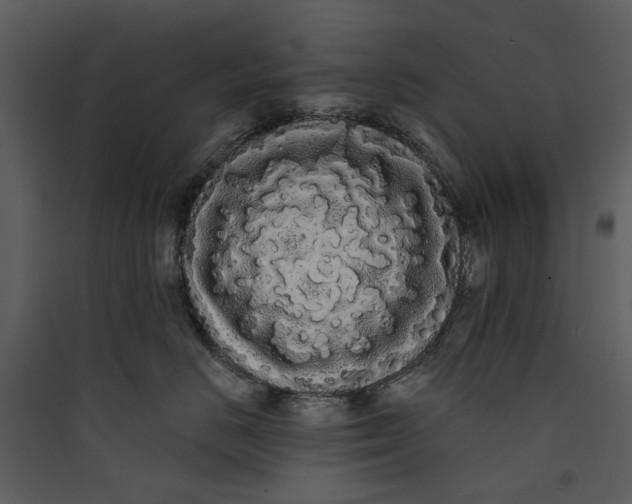 X0000089760670200707121404