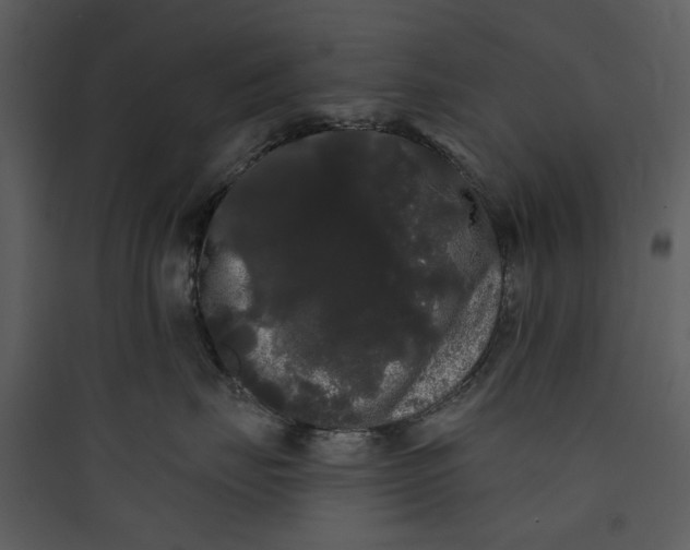 X0000089760671200707121404