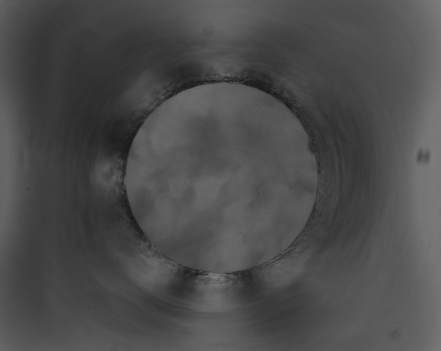 X0000089760672200707121404