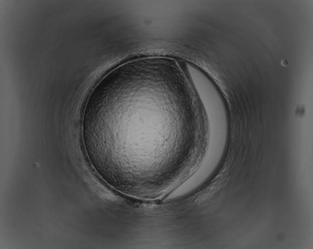 X0000089760673200707121404