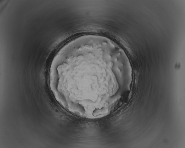 X0000089760675200707121404