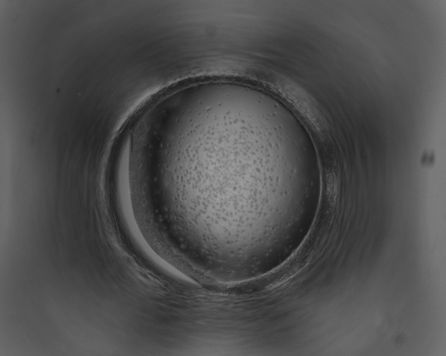 X0000089760676200707121404