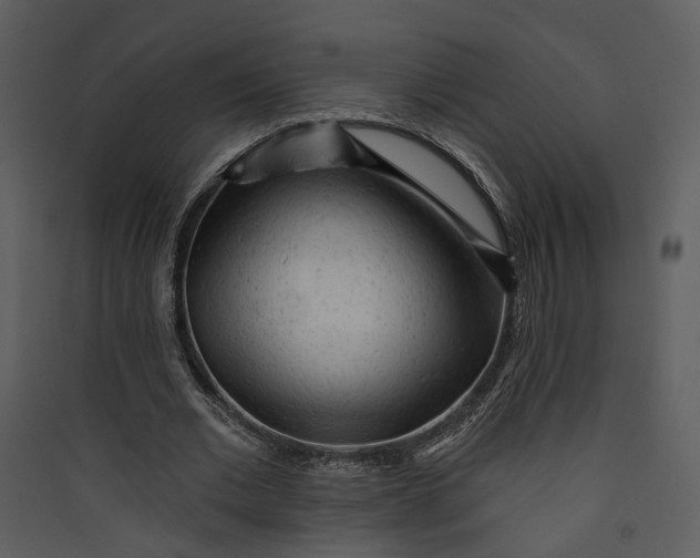 X0000089760677200707121404