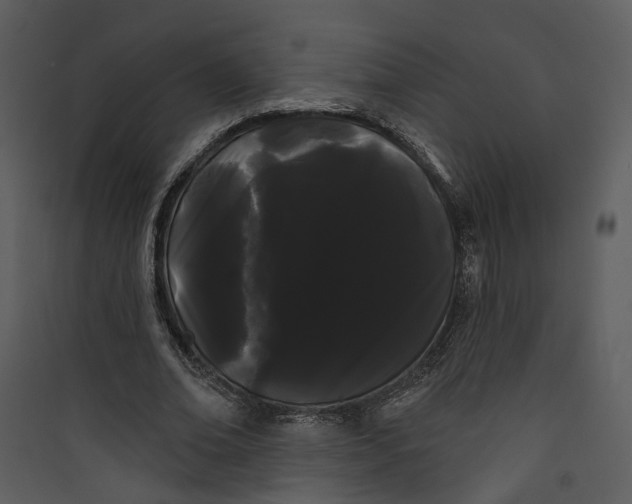 X0000089760678200707121404