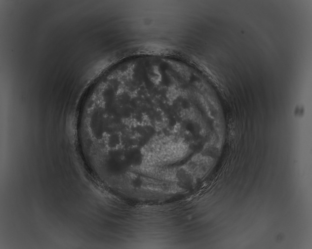 X0000089760679200707121404