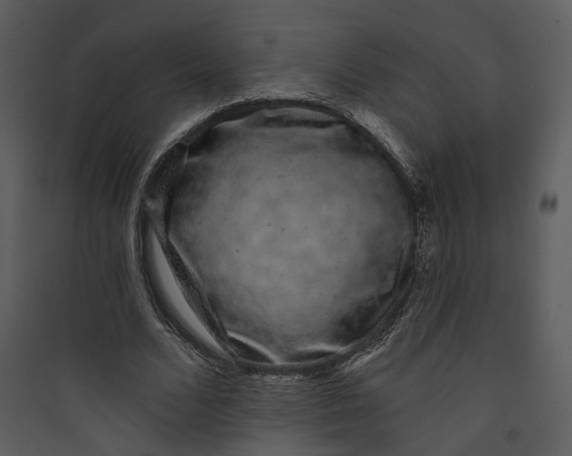 X0000089760680200707121404