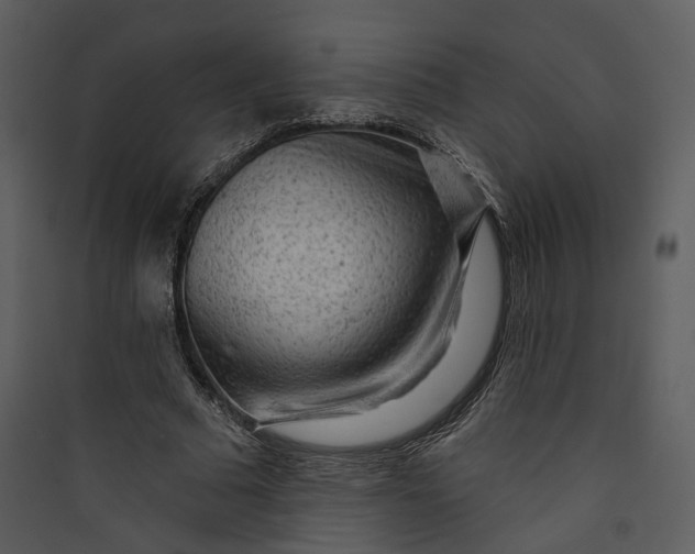 X0000089760681200707121404