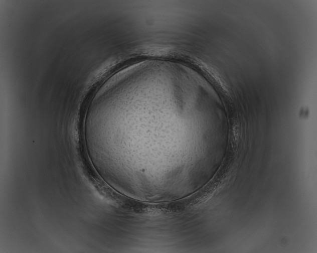 X0000089760682200707121404