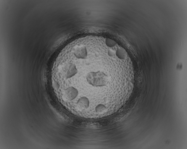 X0000089760683200707121404