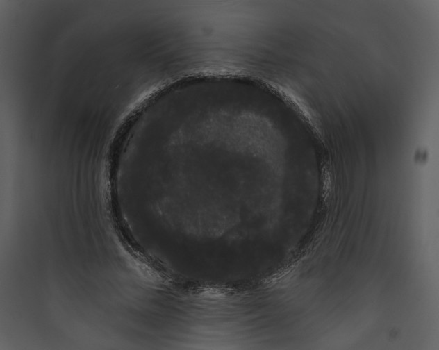 X0000089760684200707121404