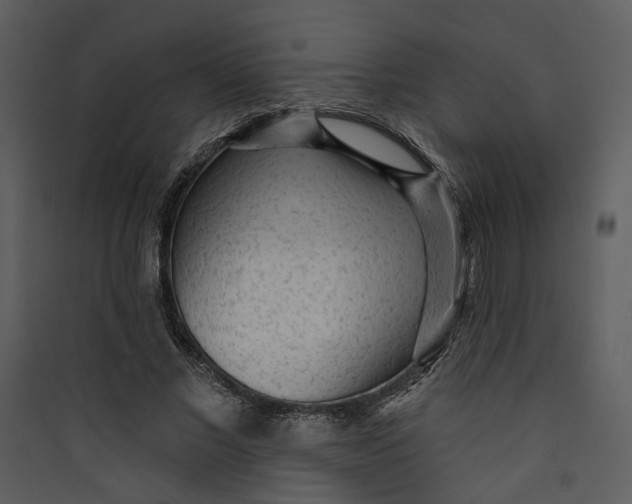 X0000089760685200707121403