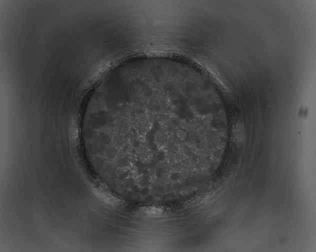 X0000089760687200707121403