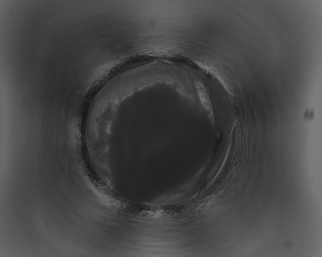 X0000089760688200707121403