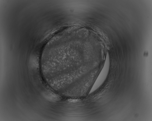 X0000089760689200707121403