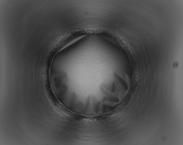 X0000089760690200707121403