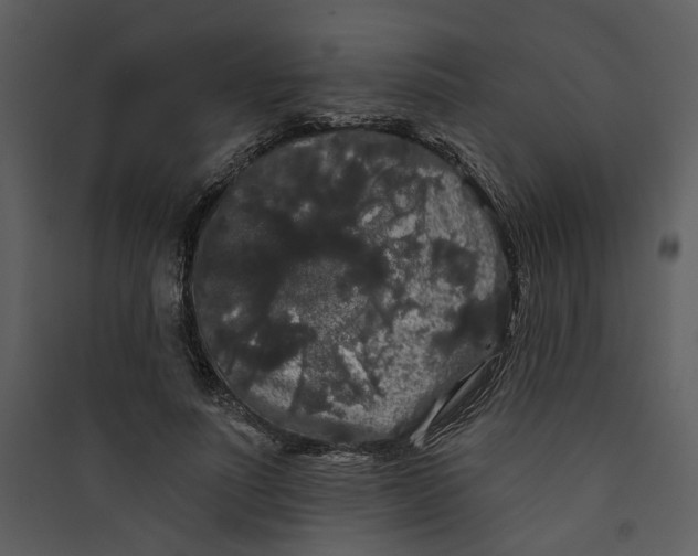 X0000089760691200707121403