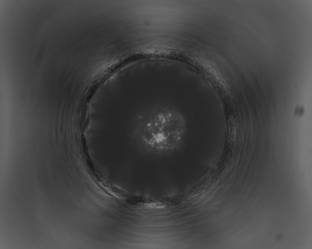 X0000089760692200707121403