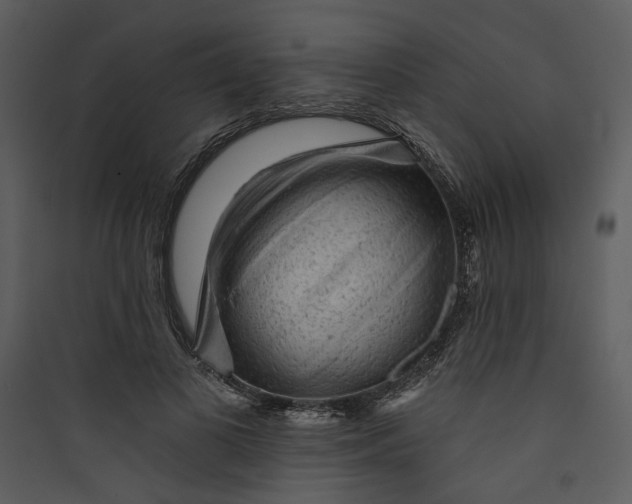 X0000089760693200707121403