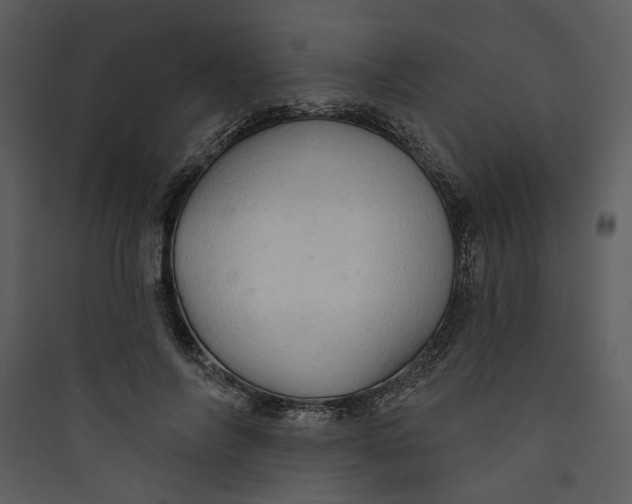 X0000089760694200707121403