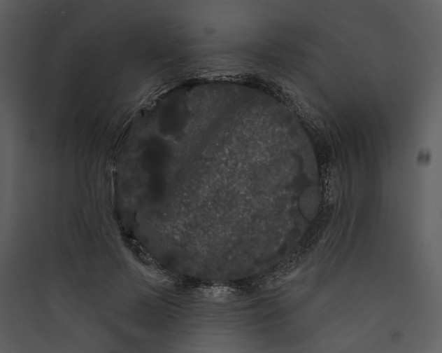 X0000089760695200707121403