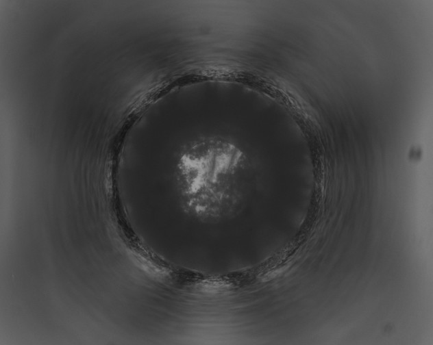 X0000089760696200707121403