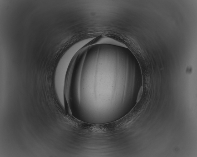 X0000089760697200707121403