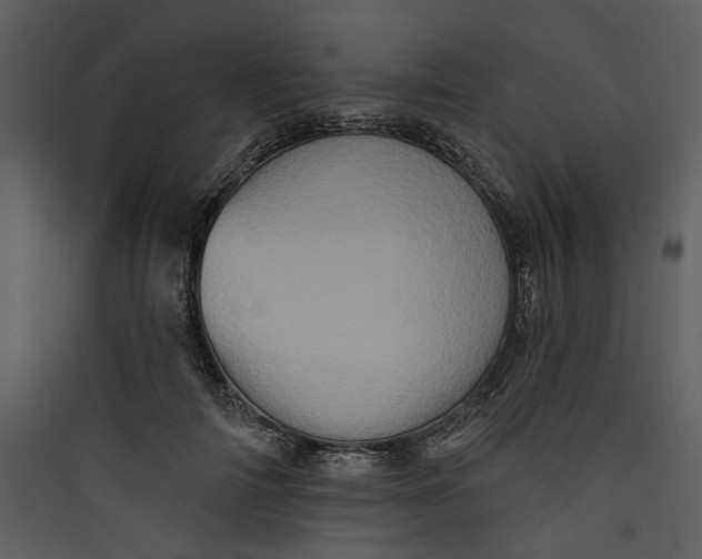 X0000089760698200707121403