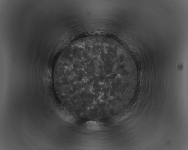 X0000089760699200707121403