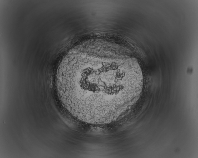 X0000089760703200707121403