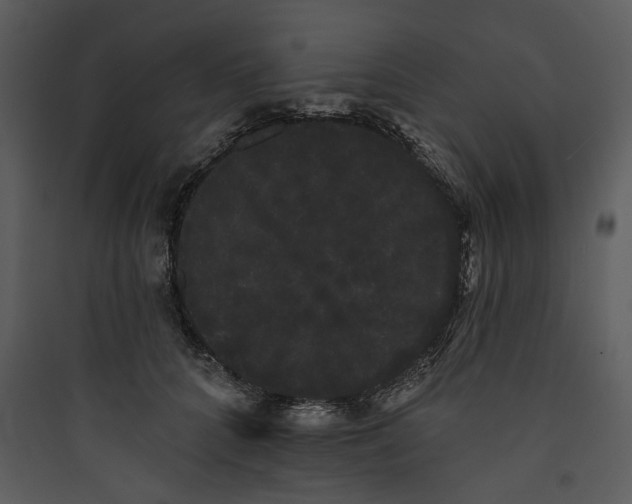 X0000089760704200707121403