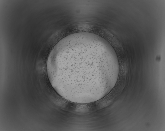 X0000089760705200707121403