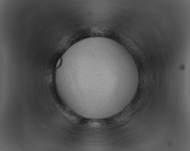 X0000089760706200707121403