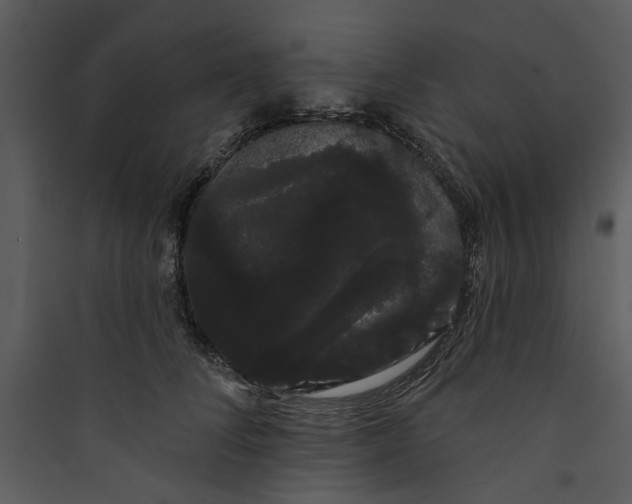 X0000089760708200707121403