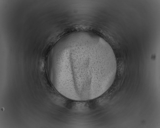 X0000089760709200707121403