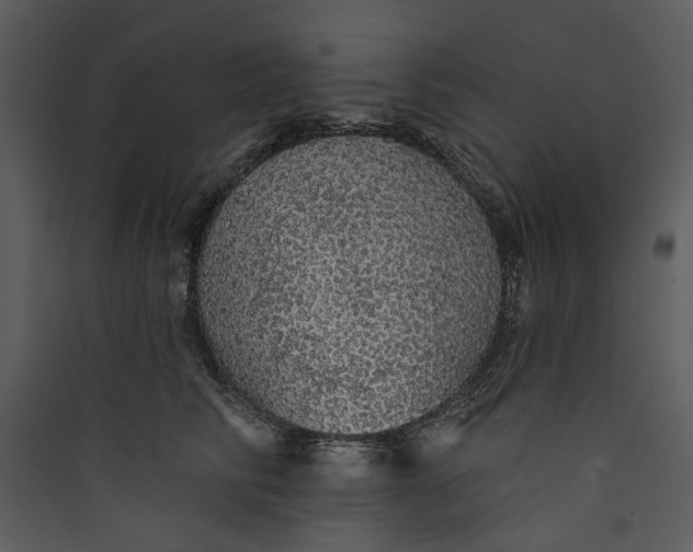 X0000089760710200707121403