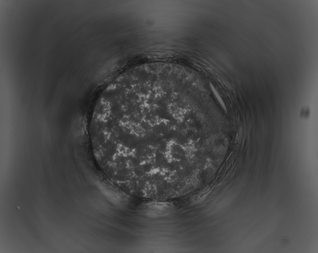 X0000089760711200707121403