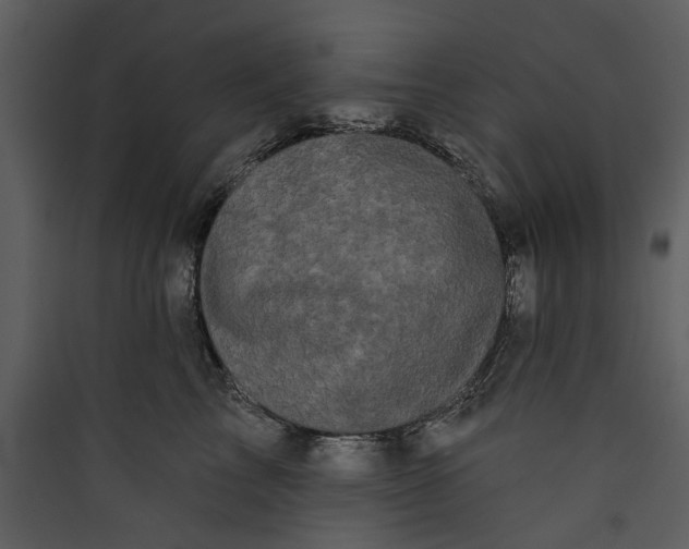 X0000089760713200707121403